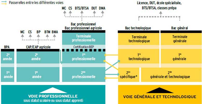 Comment choisir ses études après la seconde